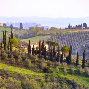 Scenic hilltop villa surrounded by cypress trees and vineyards in the Tuscan countryside near Cortona and Arezzo.