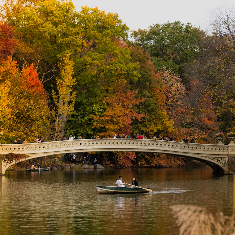 Visitors crossing a picturesque bridge in New York City's Central Park